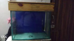 4×2 fish tank with auto filter and water