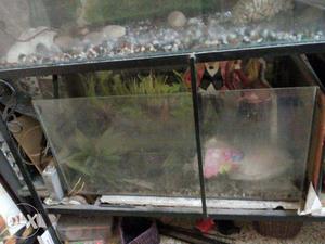 4feet and 3 feet fish tank with metal stand and