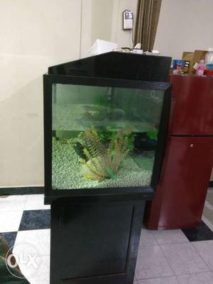 4ft/2ft Aquarium for sale. with all accessories.