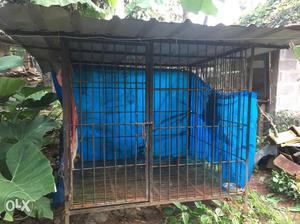 6feet height dog cage for sale