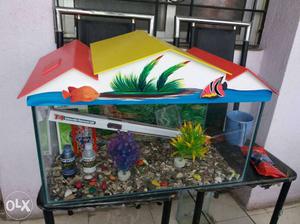 All Size Fish tanks with Fancy covers at reasonable prices