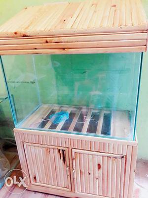 Aquariums and accessories available