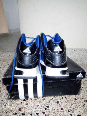 Black-and-blue Adidas Athletic Shoes With Box