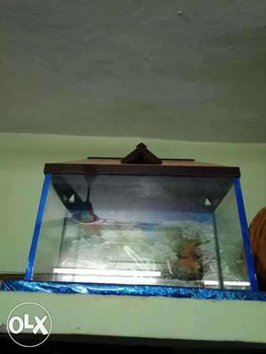 Blue And Brown Frame Fish Tank
