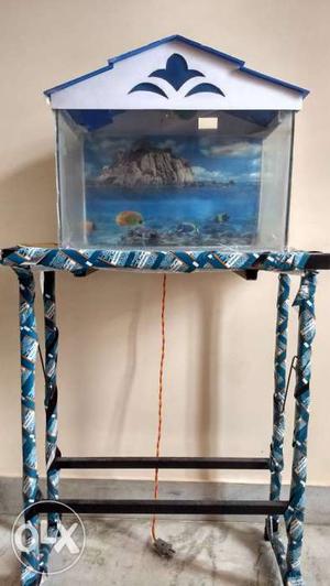 Blue And White Roof Fish Tank