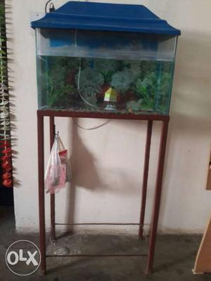 Blue Hood Fish Tank