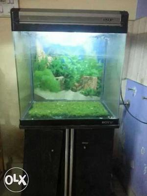 Boyu fish tank big size tank