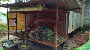 Cage for sale. Length-6feet, Width-3feet,