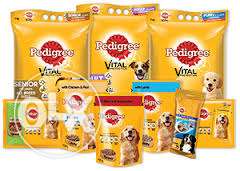 DOG food for sell & accessories available