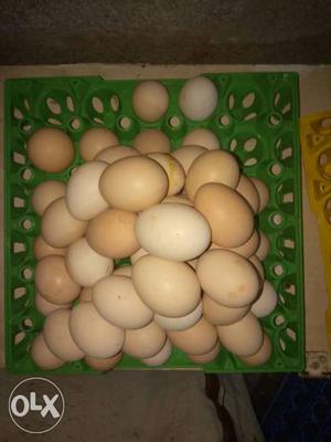 Eggs 10no RS. 70