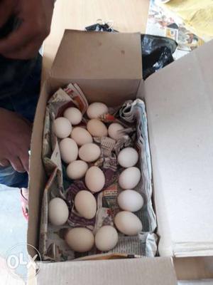 Eggs for sale