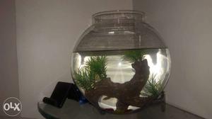 Fish Bowl With A Great Decorative Item Inside a