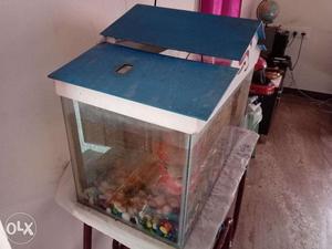 Fish Tank With Cover Only Sales In Good Condition