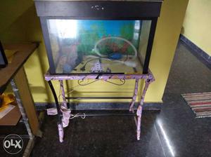 Fish Tank with New stand