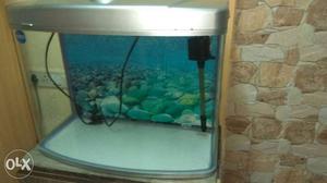 Fish tank for sale with the stand