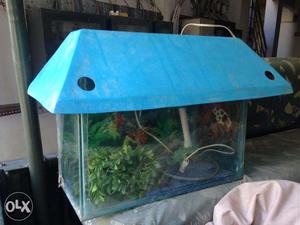 Fish tank in good condition