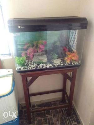 Fish tank with all accessories