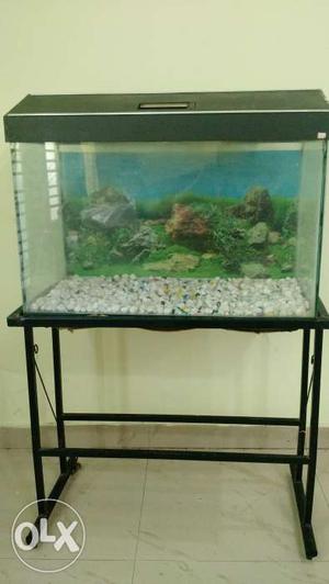 Fish tank with iron stand