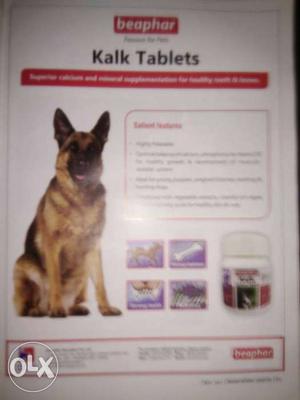 German shepherd Kalk Tablets and dog food
