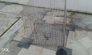 Gray Metallic Pet Cage