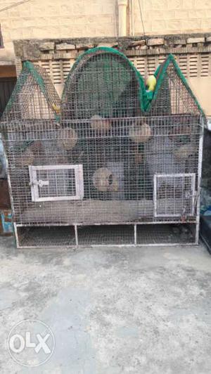 Green And White Steel Pet Cage