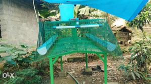 Green Steel Poultry Cage