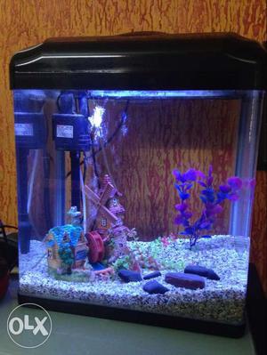 Imported fish tank, less than a year old. Including