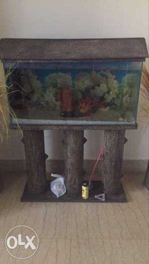 Its 6 months old 3 feet aquarium. with food,