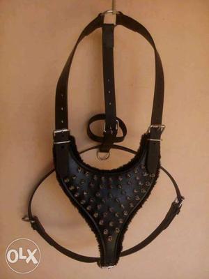 Leather body harness with spike heavy dog use
