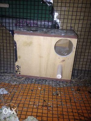 Love birds nest box