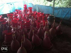 Used poultry equipments for sale