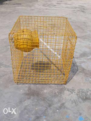 Yellow Steel Bird Cage