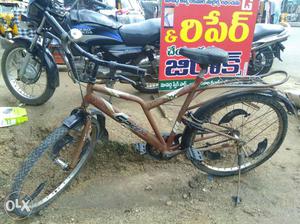 Brown Bicycle