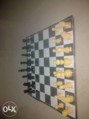 Daily Chess Box