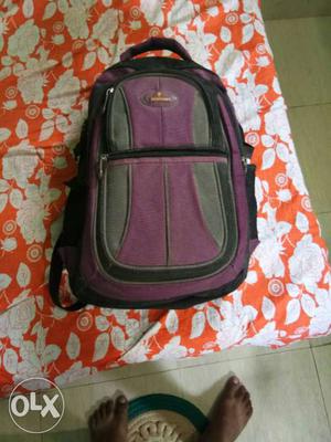 Pink, Gray, And Black Backpack