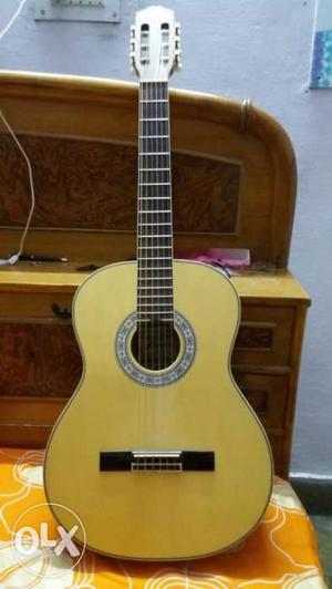 Brand new condition hertz acoustic guitar with