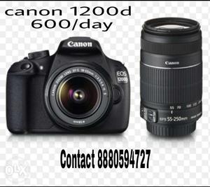 Canon d For rent 600/day