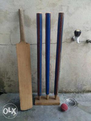 Cricket bat and sticks good condition. please
