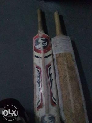 One is Reebok bat which I buy for 200 one is sg