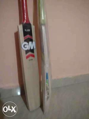 Satyam college sports store bats.single bat