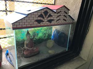 1.5 ft fish tank with cover