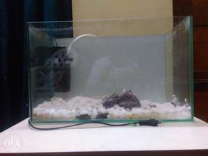 2 month old: Fish Tank (18X9X11'') + filter + white sand +