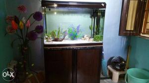 3ft moulded imoorted aquarium with cabinet only