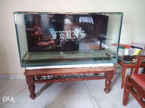 4ft fish tank for urgent sale fish also available