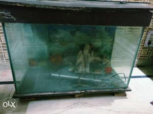 8 Months old Aquarium in Good Condition with all