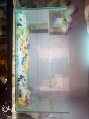 A breeding fish tank with stones and free bowl with Stones