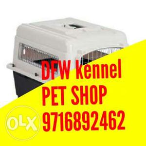 All parts of delhi and ncr avilable dogs and cats