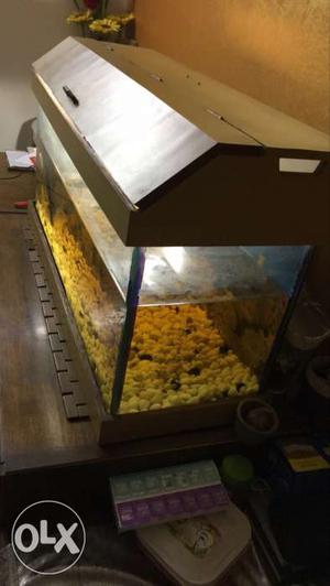 Aquarium 3feet with heater and stones