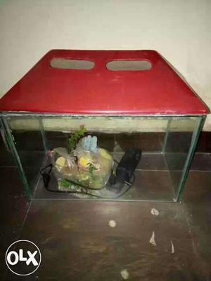 Aquarium in very good condition only 1 year