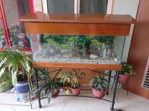 Aquarium with stand For SALE in NOIDA